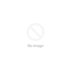 Ameliorated scalable intranet